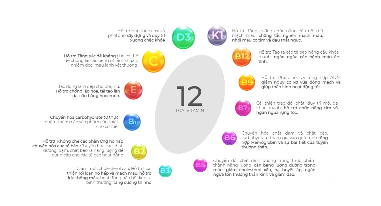 thành phân multivit daglig duong chau pharmacy