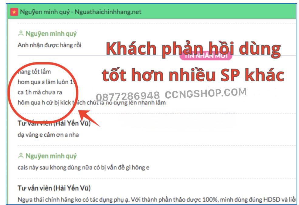 ngựa thái chính hãng