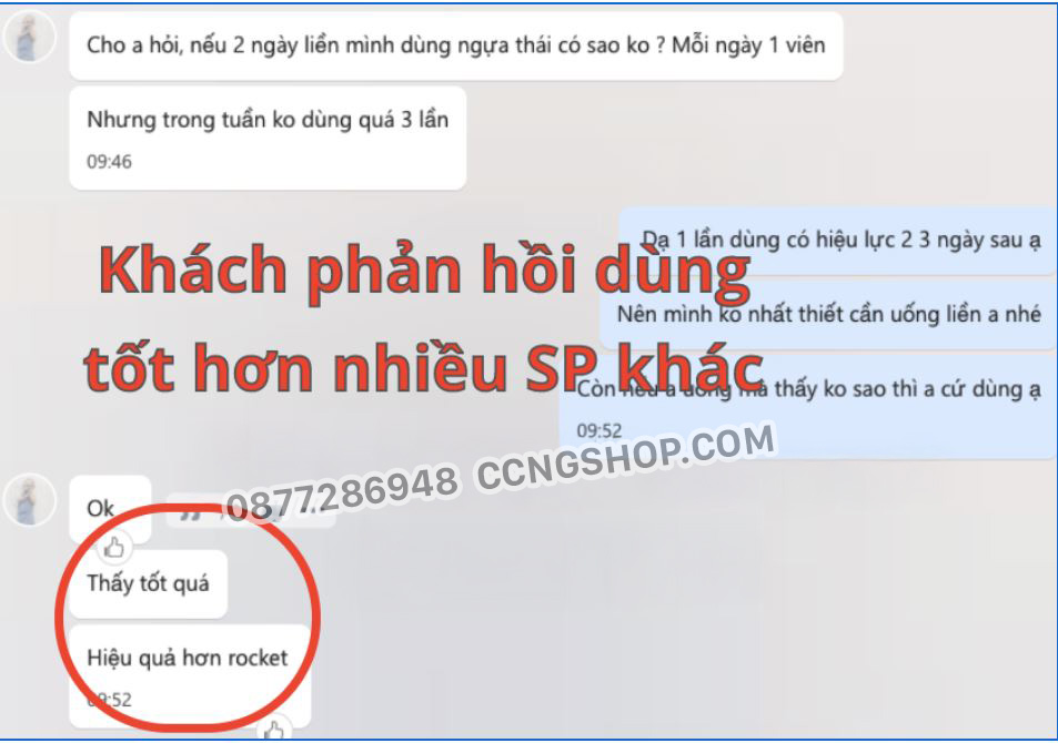 ngựa thái chính hãng