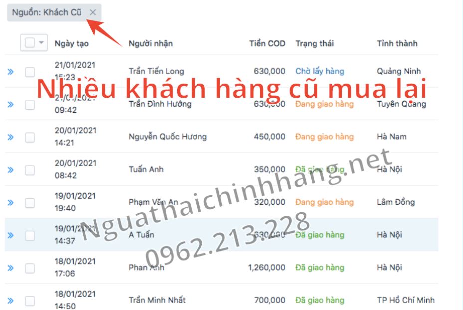 ngựa thái chính hãng