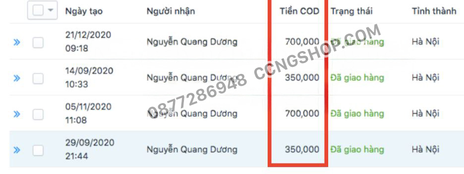 thông tin ngựa thái