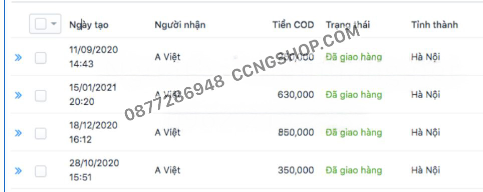 thông tin ngựa thái