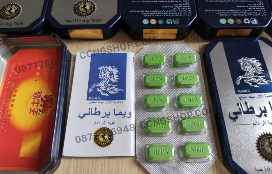 thông tin ngựa thái