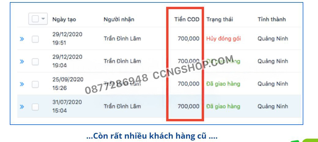 thông tin ngựa thái