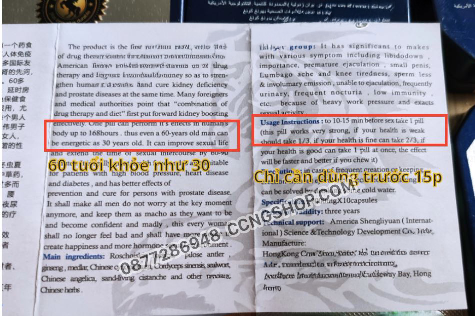 ngựa thái chính hãng