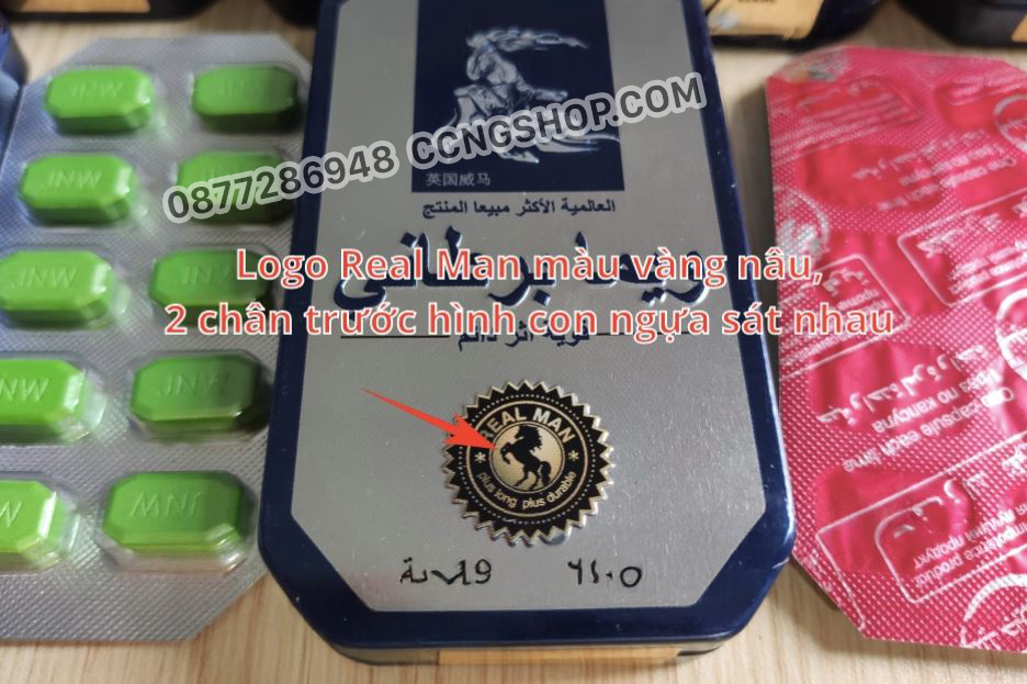 thông tin ngựa thái