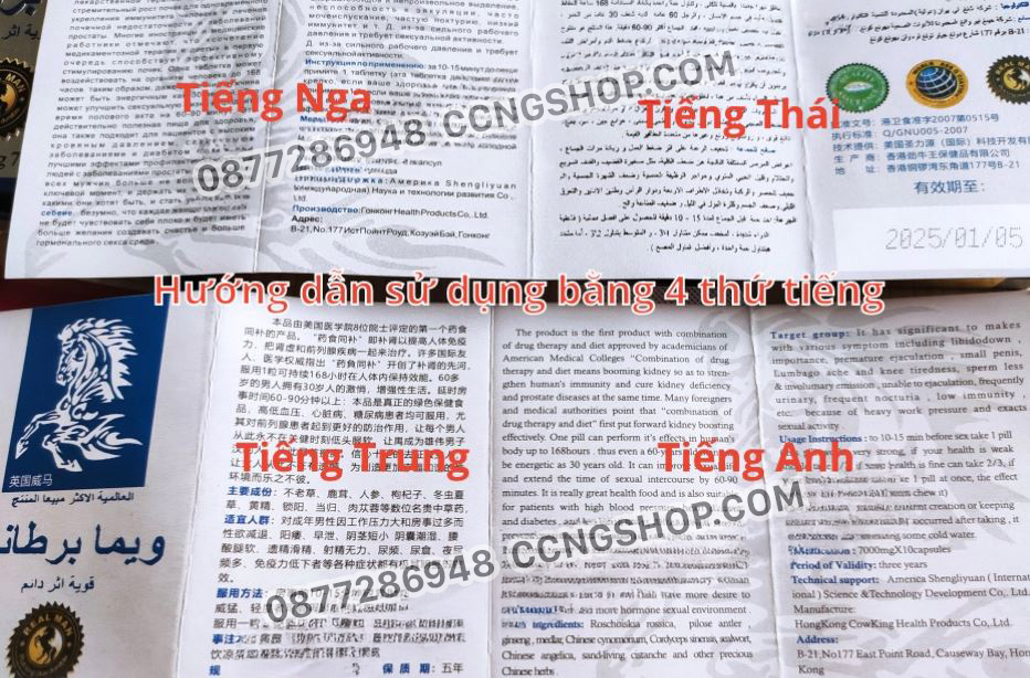 ngựa thái chính hãng