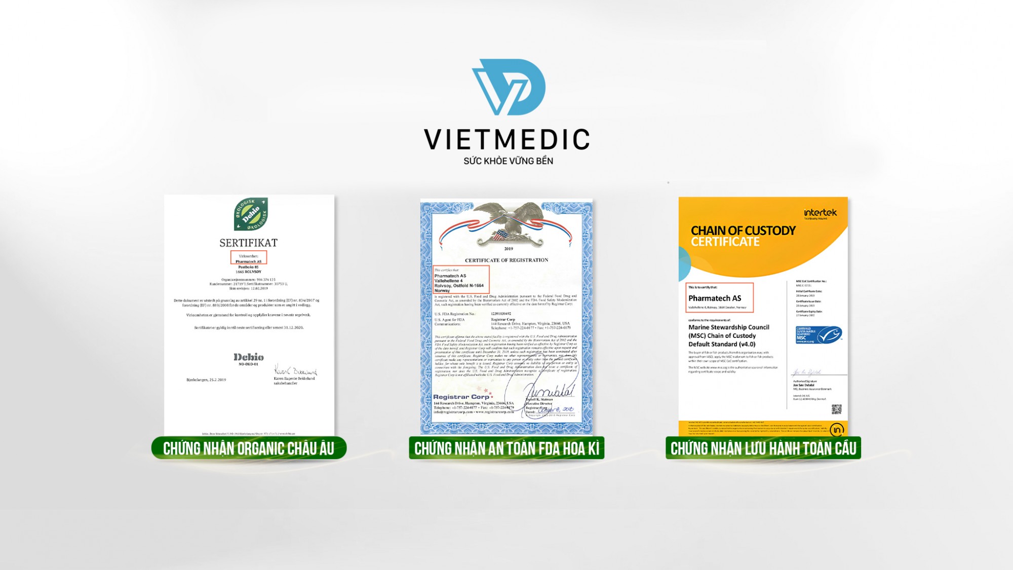 315911338 139302902220554 7626778738050049195 n